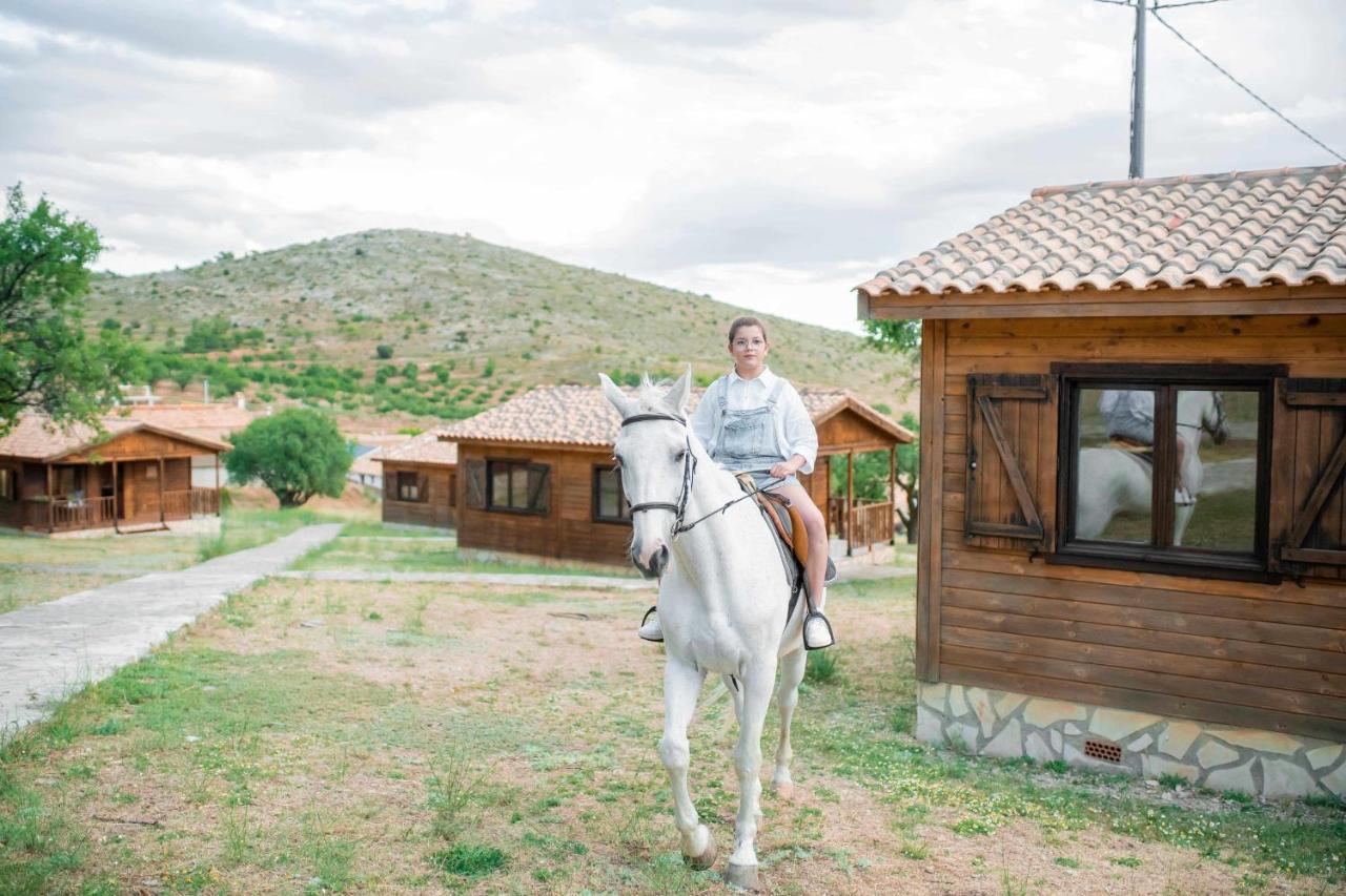 Aldea Los Odres - Cabanas De Madera De 1ª Con Piscina Privada Y Bbq En La Puerta Moratalla  Luaran gambar