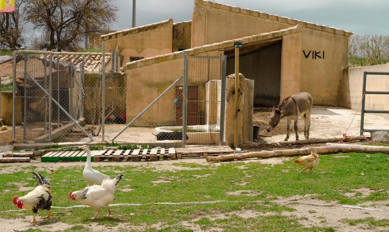 Aldea Los Odres - Cabanas De Madera De 1ª Con Piscina Privada Y Bbq En La Puerta Moratalla  Luaran gambar